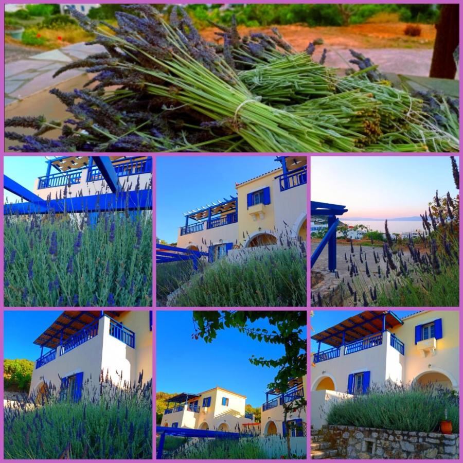 Evangelia House Sea View Apartments Agia Pelagia  Экстерьер фото