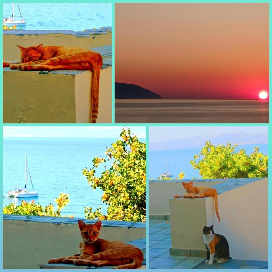 Evangelia House Sea View Apartments Agia Pelagia  Экстерьер фото
